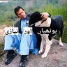 Фото профиля javed iqbal