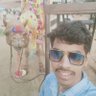 Piyush Mourya's profile picture