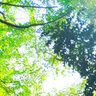 Фото профиля アホか