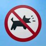 上海市流浪犬收监中心狂犬病防止科主任 的头像