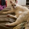 Milca profil fotoğrafı