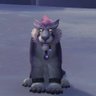 🇺🇸 Kitanea 🇺🇸's profile picture