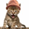 Фото профиля Burning Kitty