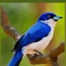 Profilbild von السعودي الشمالي💙