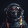 SpaceBarker 🐶🇧🇷 profil fotoğrafı