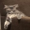 Profilbild von YesmynameisMargaret