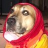 Valerie profil fotoğrafı