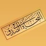 🇮🇷Ali Habibi 的头像