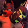 Pup Ferro 💚💚's profile picture