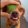 @web3 profil fotoğrafı