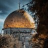 Abdrhman abdo@🔻🔻🇵🇸عبدالرحمن profil fotoğrafı