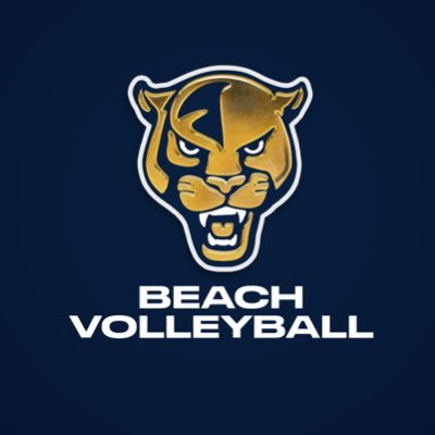 FIUBeachVB's profile picture