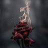 Profilbild von 🌹 ♥̨̥̬̩