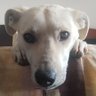 Profilbild von Patty