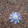 Фото профиля Regularperson123