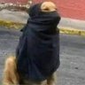 Profilbild von Tenemos que cuestionarnos todo