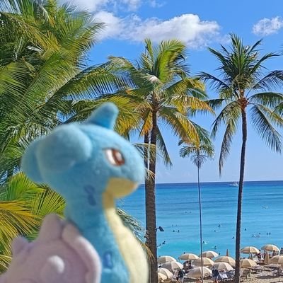 yoko_clover's profile picture