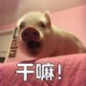 mingchun yan 的头像
