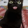 Profilbild von paicito!