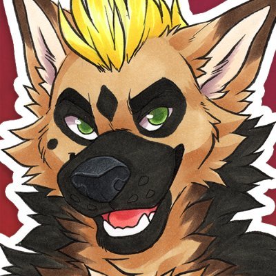 Pilot's profile picture