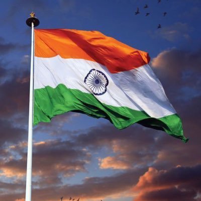 Vinay69455286's profile picture