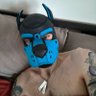 Pup Signia 的头像