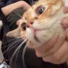 Teddy_Said profil fotoğrafı