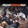 Banu Çakır profil fotoğrafı