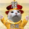 Фото профиля 陆家嘴大花猫