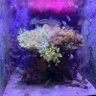 Фото профиля ايمان عموري