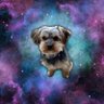 Astro Soba 的头像
