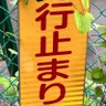 じそんしんエジソン 的头像