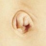 Umbilicus 的头像