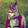 Reasonable Squirrel profil fotoğrafı