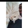 snow.jon's profile picture