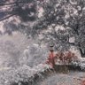 Zidanpratama 的头像