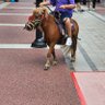 骑着我的小🐴 profil fotoğrafı