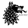 BLKWOLFCapital profil fotoğrafı