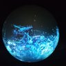 プラネタリウム 的头像