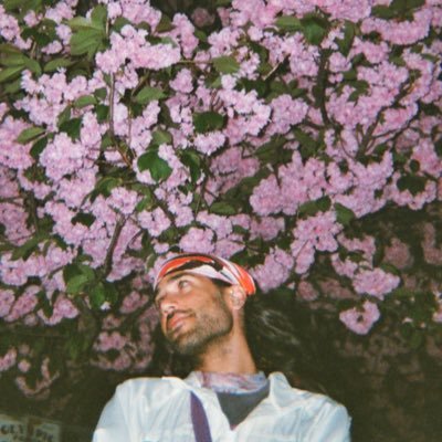 Viterbae's profile picture