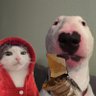 Profilbild von Espantasuegras_3000