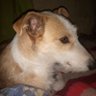 Giselaveronica's profile picture