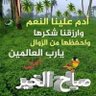 ام مهند 的头像