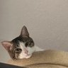 Profilbild von heal