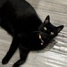 99DIVINE YENA's profile picture