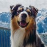 Tobby & A's profile picture