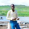 Profilbild von DICKSON KAMYA