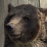 Капібарович's profile picture