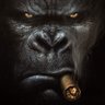 Silverback Hustle 的头像