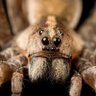RedKassper profil fotoğrafı